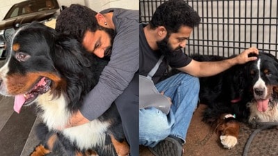 తీవ్ర విషాదంలో జూనియర్ ఎన్టీఆర్.. నాలుగేళ్ల తోడు దూరమైందంటూ ఎమోషనల్ పోస్ట్.. కన్నీళ్లు తెప్పిస్తున్న తారక్ మాటలు (instagram-Jr NTR)