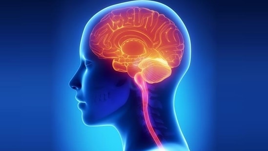 Recovery aids healing, says psychologist Sarah Hatwalne.