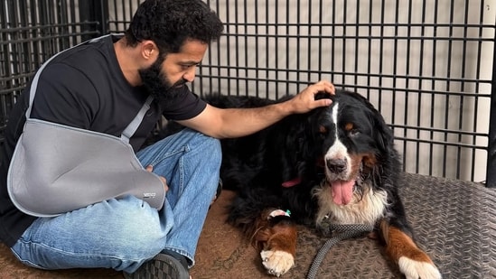 Jr NTR's pet dog Bagheera died recently and the actor got emotional over it.