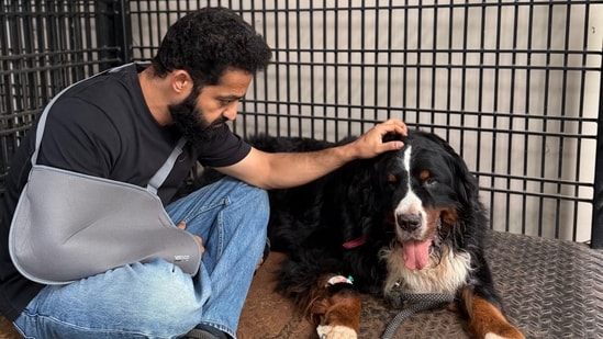 Jr NTR with Bagheera.