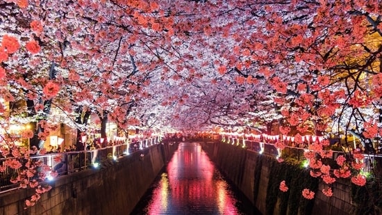 Photogenic destinations that will make your travel album stand out.