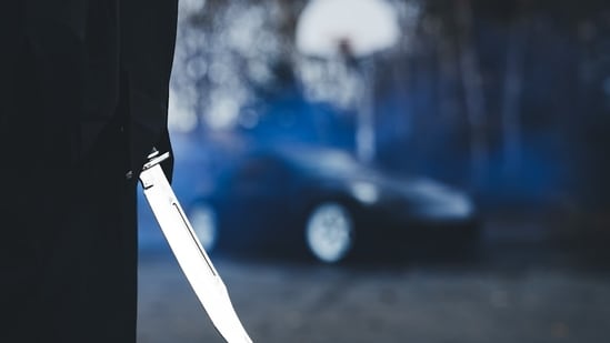 Carmen Lizet Puch has been identified as the woman stabbed to death in the Great Falls area. Image for representational purposes.