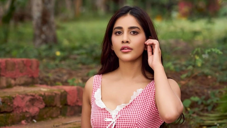 <p>రీసెంట్ గా నాగబంధం సినిమాలో హీరోయిన్ గా చేసింది నభా నటేష్. ఆ మూవీ బాక్సాఫీస్ దగ్గర అంతంతమాత్రంగానే ఆడింది. </p>(instagram-Nabha Natesh)