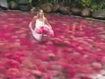 A video shows the tourist refusing to pay for the photo