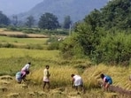Odisha plans to simplify urban land conversion by ending separate tehsildar approval and allowing municipal bodies to collect conversion fees during plan approval.