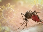 Mosquito Mosquito