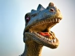 Lots of dinosaurs had stones, known as gastroliths, in their stomachs. 