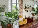 6 Easy Ways to Bring the Beauty and Calm of Nature Into Your Home(Pinterest)