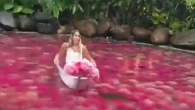 A video shows the tourist refusing to pay for the photo A video shows the tourist refusing to pay for the photo