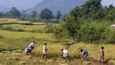 Odisha plans to simplify urban land conversion by ending separate tehsildar approval and allowing municipal bodies to collect conversion fees during plan approval.