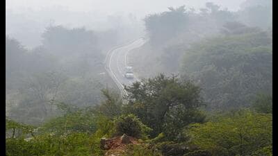 Officials said the plan includes the revival of native vegetation and scientific assessment of its hydrology. (HT) Officials said the plan includes the revival of native vegetation and scientific assessment of its hydrology. (HT)
