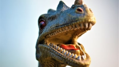 Lots of dinosaurs had stones, known as gastroliths, in their stomachs. (Unsplash) Lots of dinosaurs had stones, known as gastroliths, in their stomachs. (Unsplash)