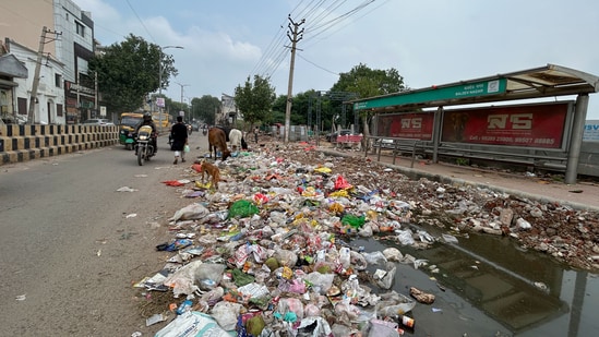 Illegally dumped garbage littered along the Basai Road, seen on Tuesday. (Parveen Kumar/HT)