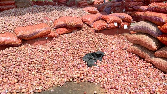 Ajit Pawar urged the BJP-led Centre to remove the export duty and provide relief to onion farmers. Pawar had written to Union commerce minister Piyush Goyal, highlighting the challenges faced by growers in Nashik, one of India’s largest onion-producing regions. (HT PHOTO)