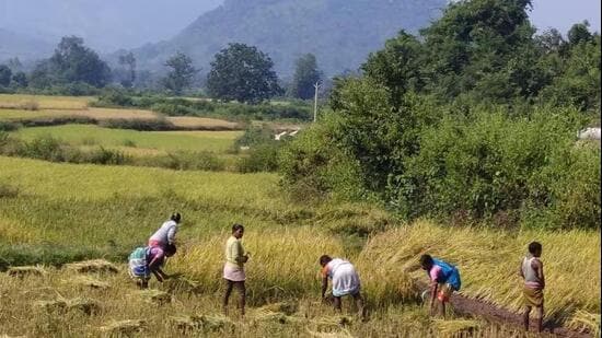 Odisha plans to simplify urban land conversion by ending separate tehsildar approval and allowing municipal bodies to collect conversion fees during plan approval.