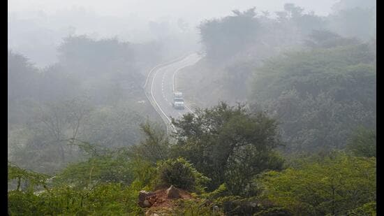Officials said the plan includes the revival of native vegetation and scientific assessment of its hydrology. (HT)
