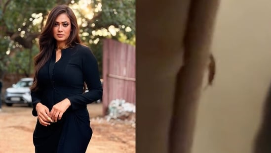 Shweta Tiwari posted a video of the cockroach she found in her online order.