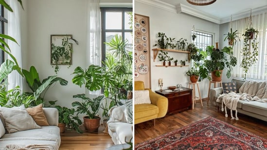 6 Easy Ways to Bring the Beauty and Calm of Nature Into Your Home (Pinterest)