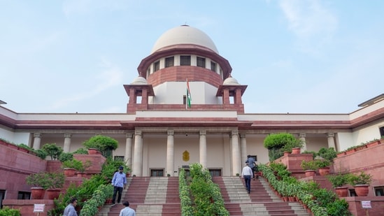 The court said that it would have to examine whether English as a language can be considered indigenous or non-indigenous in India. (Photo for representation)