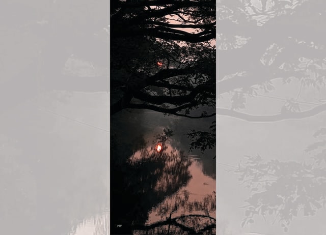 Waghmare’s photos look at self-contained worlds that exist within the larger whole. Waghmare’s photos look at self-contained worlds that exist within the larger whole.