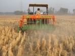 The Centre has sanctioned  <span class='webrupee'>₹</span>576 crore for crop residue management in Punjab this year. (HT File)