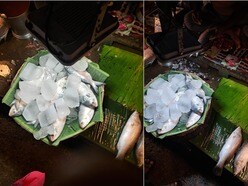 প্রতিকূল আবহাওয়ার কারণে দক্ষিণ ২৪ পরগনায় ইলিশ কম ধরা পড়েছে। (ফাইল ছবি)