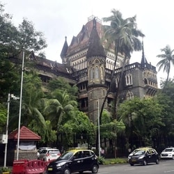 This development follows an earlier order by the Maharashtra government banning the manufacture and sale of analogue paneer for one year over public health concerns.