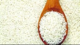 Haryana rice millers to boycott CMR operations as  ₹2800-cr stock pending