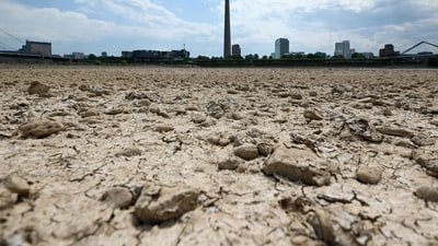 Rain-dependent farming districts remain under pressure as 117 of 262 areas identified to record deficient rainfall (AFP) Rain-dependent farming districts remain under pressure as 117 of 262 areas identified to record deficient rainfall (AFP)