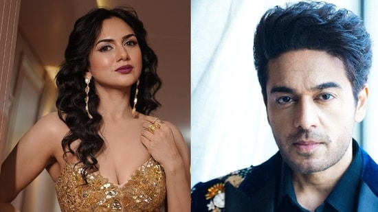 Akanksha Chamola and Gaurav Khanna got married in 2016.