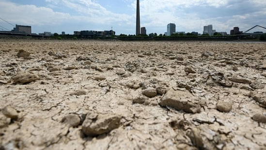 Rain-dependent farming districts remain under pressure as 117 of 262 areas identified to record deficient rainfall
