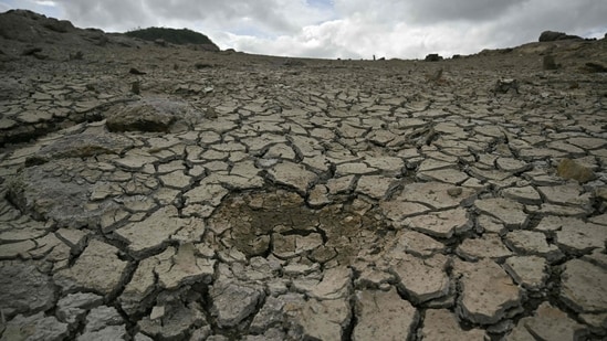 A powerful El Niño is forecast to intensify Pacific Ocean warming, with scientists warning of implications for global temperatures, India’s monsoon and agriculture(AFP/ Representational image)