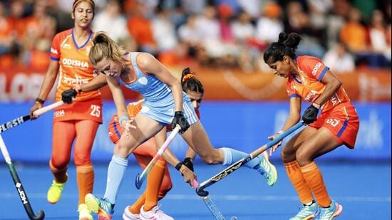 Hosts Netherlands defeated India 2-0 on Friday. (AFP)