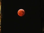 Why the Full Sturgeon Moon could turn red and what astrology says(AP File)
