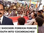 Cockroaches, lions & foreign forces: Kerala VC’s bizarre youth warning