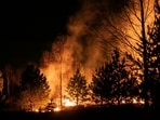 Wildfire burning in Mabton, Yakima County, WA.(UnSplash)