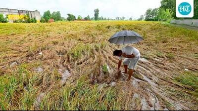 The delegation also praised the government’s outline of rules and subsidies for crop residue management. (HT File)