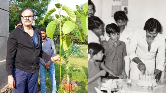 చిరంజీవికి నాగబాబు పర్యావరణ కానుక- బర్త్ డే స్పెషల్‌గా కదంబ వృక్షం- ఈ మొక్క ప్రత్యేకత ఏంటంటే?