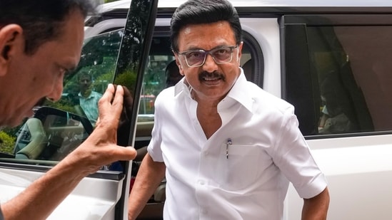 File photo of DMK President MK Stalin at party headquarters.