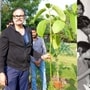 చిరంజీవికి నాగబాబు పర్యావరణ కానుక- బర్త్ డే స్పెషల్‌గా కదంబ వృక్షం- ఈ మొక్క ప్రత్యేకత ఏంటంటే?

