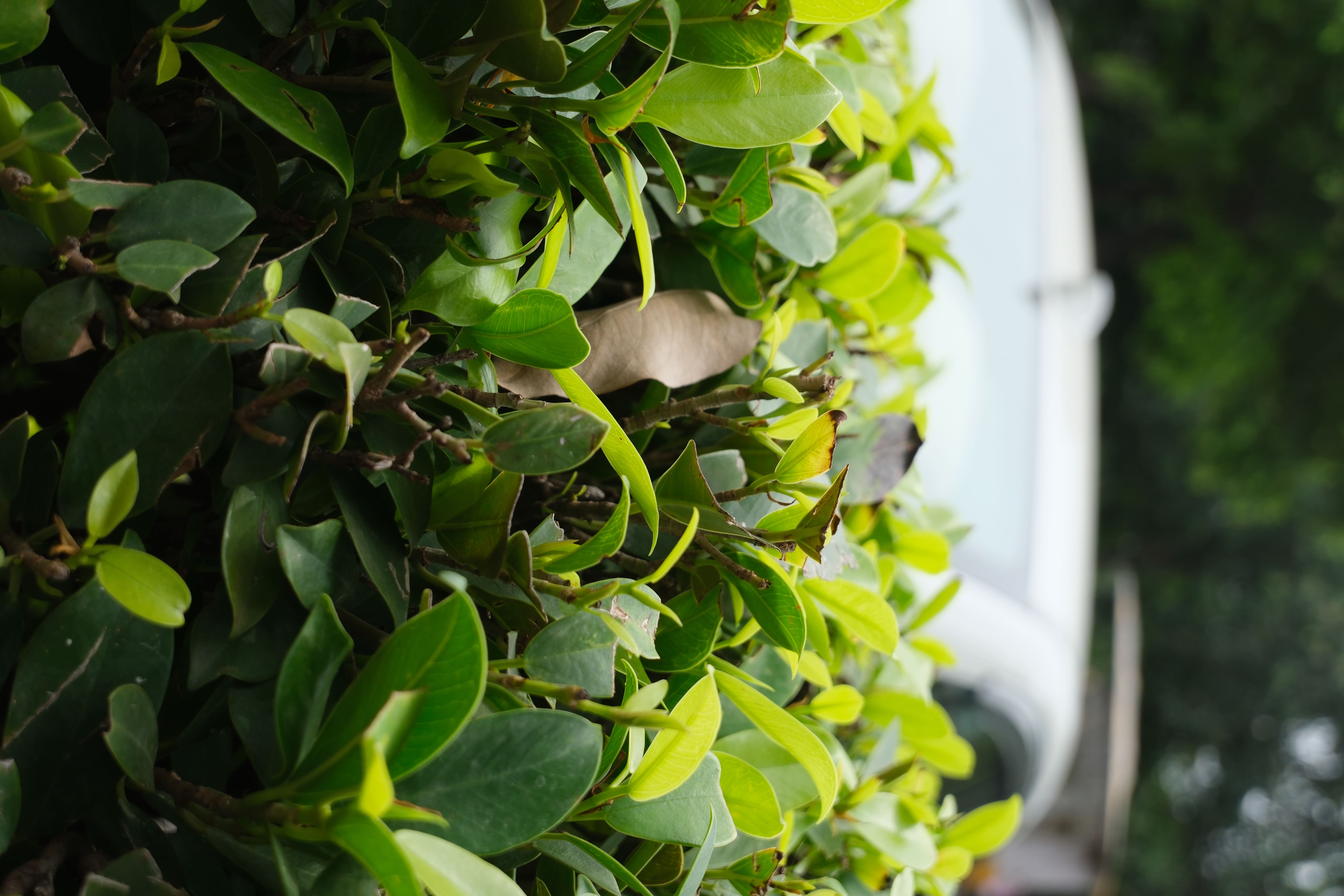 Fujifilm X-T30 III Review (Amit Rahi - HT) Fujifilm X-T30 III Review (Amit Rahi - HT)
