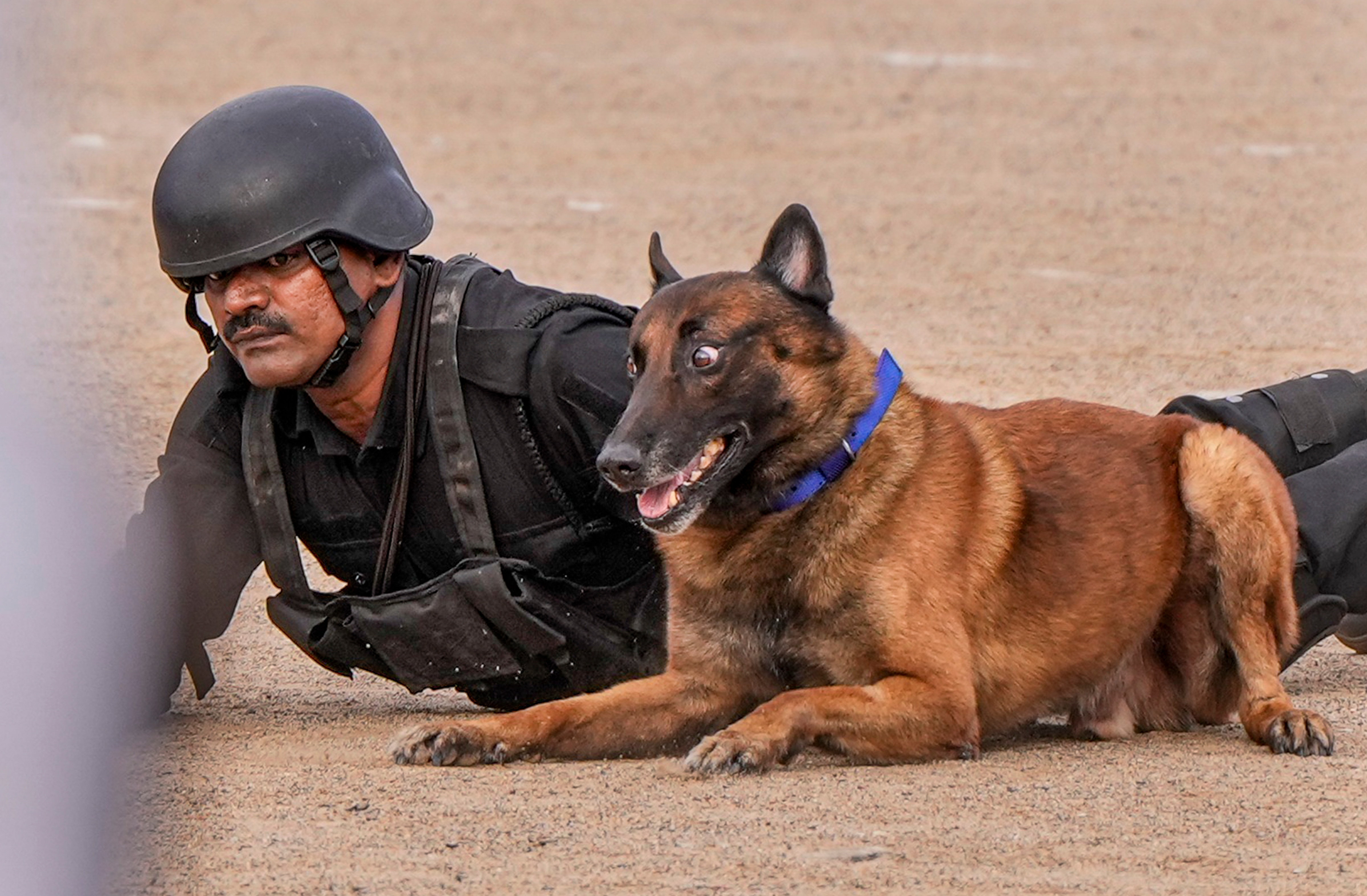 Under the new order, police dogs will now have their survival needs metted out by the state after finishing their 10-year service period. (PTI/ Representational)