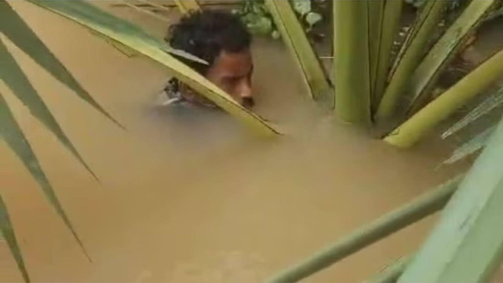 Villagers in a boat spotted Sunanda Behera clinging to a tree in the flooded Bajapati field and alerted ODRAF. (ODRAF) Villagers in a boat spotted Sunanda Behera clinging to a tree in the flooded Bajapati field and alerted ODRAF. (ODRAF)