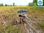 The delegation also praised the government’s outline of rules and subsidies for crop residue management. (HT File)