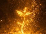 10 things you stop tolerating when you finally begin growing spiritually and start choosing yourself
(Pinterest)
