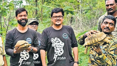 216 star tortoises rescued from trafficking 216 star tortoises rescued from trafficking