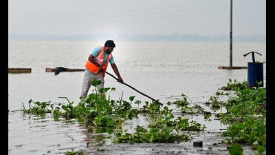 A municipal worker cleans a road inundated with floodwaters from the swollen Ganga river in Prayagraj on Sunday (PTI)