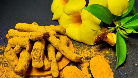 The high-curcumin turmeric has gone from an obscure hill crop to a GI-tagged premium product showcased before world leaders.