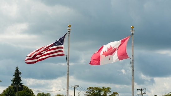 Trump's 50% Canada tariffs could raise US prices on whisky, hockey gear, dairy, clothing, honey, smartphones and more. (Pexel/Representative image)