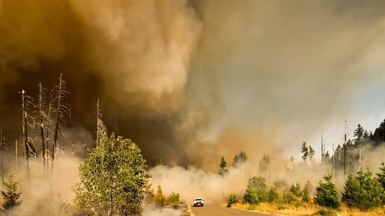 The fast-moving Hawk Fire has scorched about 8000 acres northwest of Reno, triggering mandatory evacuations (Representational)
